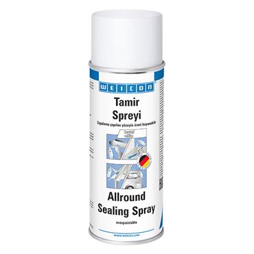 Spray riparatore